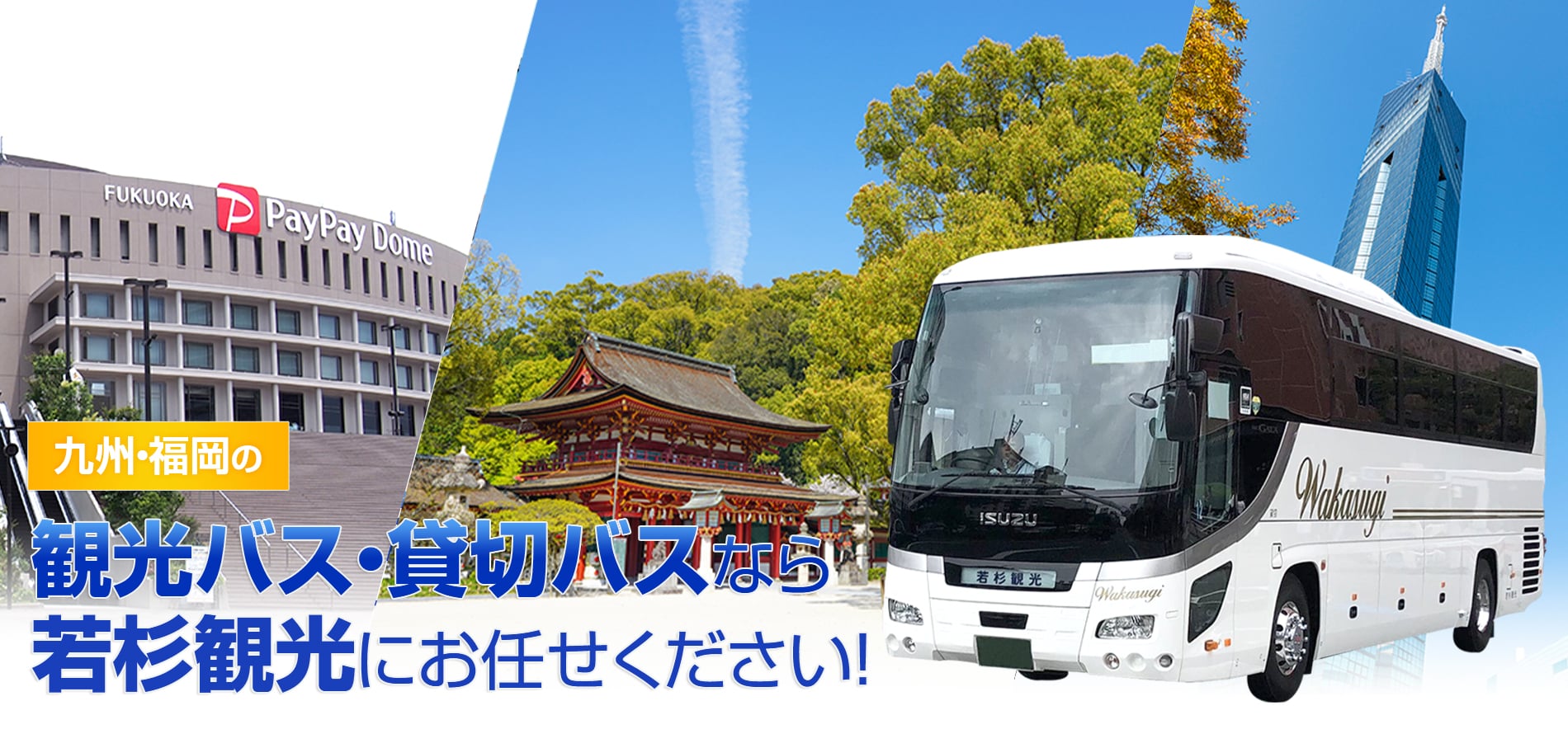 有限会社若杉観光